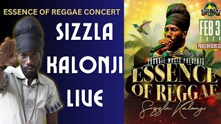 Sizzla Kalonji blaze the fire at Essence of Reggae concert [upl. by Eelirol]