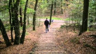 Fietstocht Nationaal park De Hoge Veluwe [upl. by Melvyn]