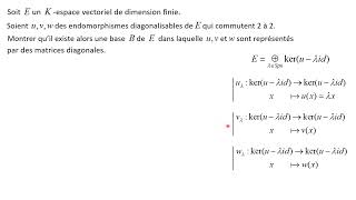 Diagonalisation simultanée pr une famille  infinie  dendo diagonalisables qui commutent 2 à 2 [upl. by Achorn]