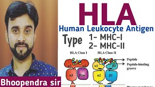 HLA Human Leukocyte system Human Health and disease [upl. by Arleta188]