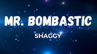 Shaggy  Mr Boombastic Lyrics [upl. by Moynahan]