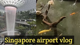 Worlds Best Airport Changi  Singapore vlog  Famous Jewel Waterfall ❤️ [upl. by Deach723]