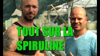 TOUT SUR LA SPIRULINE CULTURE  CONSEILS  EFFETS [upl. by Wons]