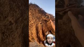 shortvideo islamicstatus viralvideo allah allahuakbar [upl. by Thar646]