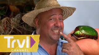 Eating Raw Dancing Shrimp in Thailand  Bizarre Foods with Andrew Zimmern  Travel Channel [upl. by Einnej]