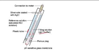 How a pH probe works [upl. by Adnovay]