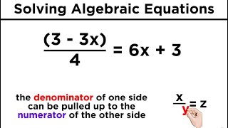 Algebraic Equations With Variables on Both Sides [upl. by Colp]