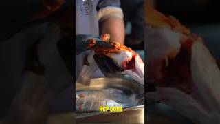 Restaurants  chef Pillai Doha Qatar  Sea bass pollichathu Recipe chef Pillai [upl. by Arfihs]