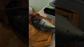 I cook the Pompano Did caught todayfish catchingfish islandlifefishing ofwfiishinglifetrending [upl. by Eicyal]