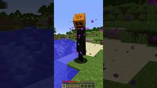 Friendly Enderman vs Pumpkin Feature shorts minecraft meme [upl. by Skrap]