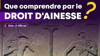 LE DROIT DAÎNESSE À NE PAS CONFONDRE AVEC LES ÂMES AGITÉES QUI SINCARNENT PRÉCIPITAMMENT [upl. by Aohsoj]