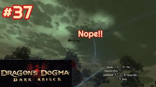 Dragons Dogma Dark Arisen  Episode 37 Were Going On A Dragon And Badge Hunt [upl. by Annaili]