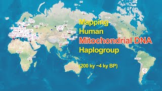 Where did the mtDNA haplogroups live [upl. by Ical470]