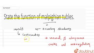 State the function of malpighian tubles [upl. by Mya]