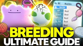 ULTIMATE Breeding Guide Perfect IVs Natures Egg Moves  Pokemon Brilliant Diamond amp Shining Pearl [upl. by Seuqramed931]