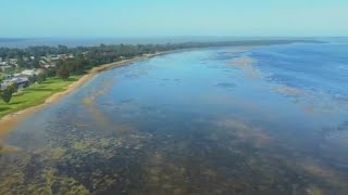 Tuggerah Lake  Central Coast  NSW [upl. by Cire]