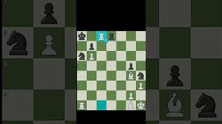 Tals brilliancy and mate 🥶 chess shorts trendingshorts [upl. by Mussman955]