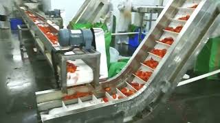 1000g crayfish packaging line [upl. by Almire]