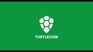 TurtleCoin Podcast 008  The Struggle Is Real [upl. by Delp41]