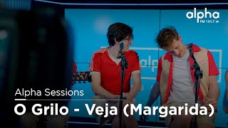 Alpha Sessions O Grilo  Veja Margarida cover  Alpha [upl. by Farley]