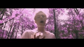 Young Lungs  Pink Tree OFFICIAL MUSIC VIDEO [upl. by Winnah774]