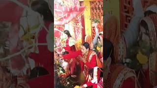 VAT Savitri Vrat Puja 6 जून 2024 viralshortvideo [upl. by Thetisa]