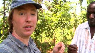 Filmen om agroforestry [upl. by Errick]