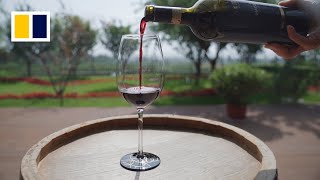 Despite growing domestic and international acclaim China wine industry still needs time to mature [upl. by Lua101]