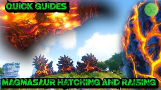 How To Steal Hatch And Raise Magmasaur Eggs  Ark Quick Guides  2021  Tips And Tricks [upl. by Caine]