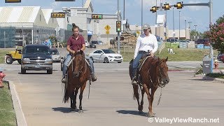 Smart Goldseeker and Lenas Smart Bluechex  riding in town  ValleyViewRanchnet [upl. by Nnairak]