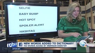 New words added to MerriamWebster dictionary [upl. by Eeresed106]