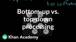 Bottomup vs topdown processing  Processing the Environment  MCAT  Khan Academy [upl. by Hu]