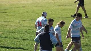 Lions v Narrabri reserve grade tries today [upl. by Eltsyrhc]