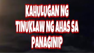 KAHULUGAN NG TINUKLAW NG AHAS SA PANAGINIP [upl. by Eirameinna]