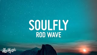 Rod Wave  SoulFly Lyrics [upl. by Grizelda364]