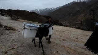 Afghanistan des ânes transportent le matériel de vote [upl. by Montgomery]