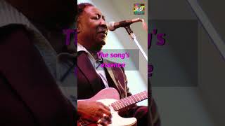 The Rolling Inspiration Muddy Waters and The Rolling Stones shortsyoutube [upl. by Heinrike656]