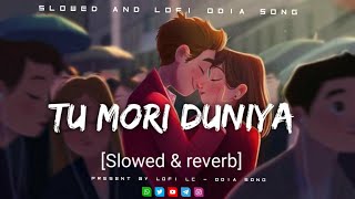 Mori Duniya Slowed amp reverb Kuldeep pattnaik Lofi Song  Tu Mori Duniy [upl. by Ylatfen]