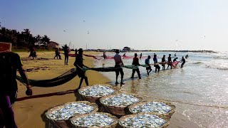 Amazing Seine Fishing Using Ancient Fishing Technique  Amazing Big Catch Fishing Skill [upl. by Mcquillin]