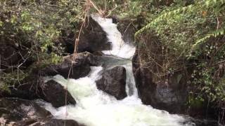 Ecuador Family Hiking  Papallacta River Walk [upl. by Gnilrac871]