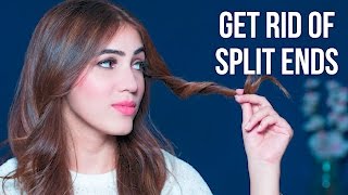 How To Get Rid Of Split Ends  At Home DIY [upl. by Nador342]