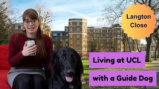 Langton Close 1 Bedroom Flat Tour  UCL Accommodation [upl. by Dominy]