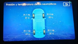 Ford Territory Presión de Neumáticos y Luz de ambiente [upl. by Augustus]