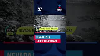 Nevada en la Sierra Tarahumara  shorts  Zea [upl. by Nylaj897]