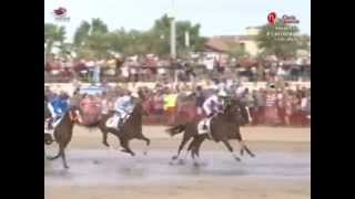 1ª Carrera premio Hipica Molino 2 día 1 cicloCarreras de Caballos 2015 Sanlúcar de Barrameda [upl. by Nwaf]