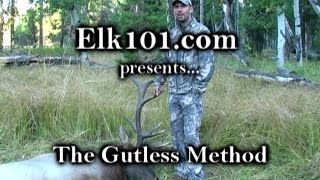 Elk101coms Gutless Method for Field Processing an Elk [upl. by Dripps]