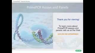 PrimePCR™ Assays Build a Custom Plate Blank Template [upl. by Anyg295]