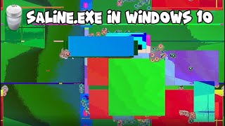 salinewinexe in Windows 10 [upl. by Mcilroy325]