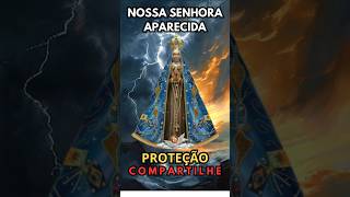 NOSSA SENHORA APARECIDA Proteção e Misericórdia [upl. by Connor]