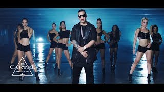 Daddy Yankee  Shaky Shaky Video Oficial [upl. by Rozek773]